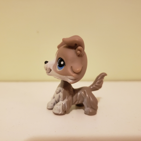 Authentic collie #67 - Picture 2 of 5